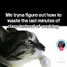 Sam