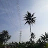 Lingga