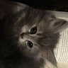 Ella