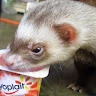 Eduardo
