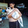 ฮาร์ท