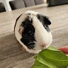 Liam