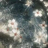 Yuseo 