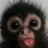 Ailin 