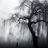 HiddenDream