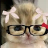 kim