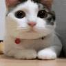 Sebastian