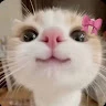 bia