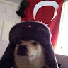Rogu