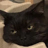 Miaw Wao