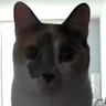 Sam