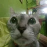 Rhylie