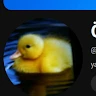 DuckKing