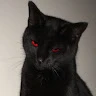 Nik