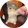 Taki